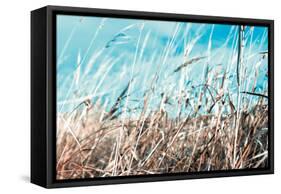 Grass and Reeds 4482-Rica Belna-Framed Stretched Canvas