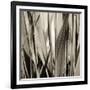 Grass and Reeds-Rica Belna-Framed Giclee Print