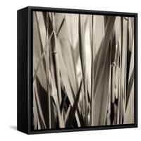 Grass and Reeds-Rica Belna-Framed Stretched Canvas