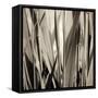 Grass and Reeds-Rica Belna-Framed Stretched Canvas