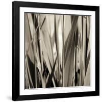 Grass and Reeds-Rica Belna-Framed Giclee Print