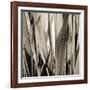 Grass and Reeds-Rica Belna-Framed Giclee Print