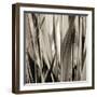 Grass and Reeds-Rica Belna-Framed Giclee Print