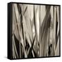 Grass and Reeds-Rica Belna-Framed Stretched Canvas