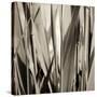 Grass and Reeds-Rica Belna-Stretched Canvas