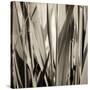 Grass and Reeds-Rica Belna-Stretched Canvas