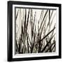 Grass and Reeds-Rica Belna-Framed Giclee Print