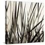 Grass and Reeds-Rica Belna-Stretched Canvas