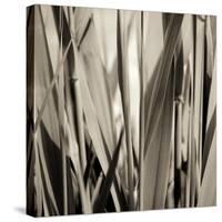 Grass and Reeds-Rica Belna-Stretched Canvas