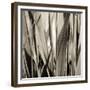 Grass and Reeds-Rica Belna-Framed Giclee Print