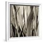 Grass and Reeds-Rica Belna-Framed Giclee Print