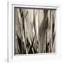 Grass and Reeds-Rica Belna-Framed Premium Giclee Print