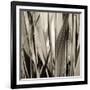 Grass and Reeds-Rica Belna-Framed Giclee Print