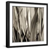 Grass and Reeds-Rica Belna-Framed Giclee Print