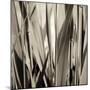 Grass and Reeds-Rica Belna-Mounted Giclee Print