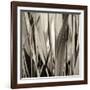 Grass and Reeds-Rica Belna-Framed Giclee Print