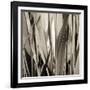 Grass and Reeds-Rica Belna-Framed Giclee Print