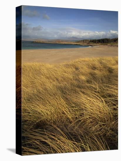 Grass and Sand Dunes on the Coast, Mellon Udridge, Wester Ross, Highlands, Scotland, United Kingdom-Neale Clarke-Stretched Canvas