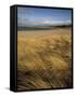 Grass and Sand Dunes on the Coast, Mellon Udridge, Wester Ross, Highlands, Scotland, United Kingdom-Neale Clarke-Framed Stretched Canvas