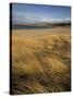 Grass and Sand Dunes on the Coast, Mellon Udridge, Wester Ross, Highlands, Scotland, United Kingdom-Neale Clarke-Stretched Canvas