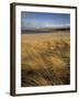 Grass and Sand Dunes on the Coast, Mellon Udridge, Wester Ross, Highlands, Scotland, United Kingdom-Neale Clarke-Framed Photographic Print