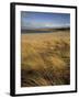 Grass and Sand Dunes on the Coast, Mellon Udridge, Wester Ross, Highlands, Scotland, United Kingdom-Neale Clarke-Framed Photographic Print