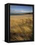 Grass and Sand Dunes on the Coast, Mellon Udridge, Wester Ross, Highlands, Scotland, United Kingdom-Neale Clarke-Framed Stretched Canvas