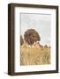 Grass and Sky Light-Aledanda-Framed Photographic Print