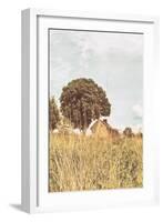 Grass and Sky Light-Aledanda-Framed Photographic Print