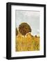 Grass and Sky-Aledanda-Framed Photographic Print