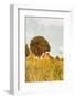 Grass and Sky-Aledanda-Framed Photographic Print