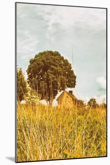 Grass and Sky-Aledanda-Mounted Photographic Print