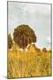 Grass and Sky-Aledanda-Mounted Photographic Print