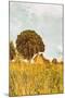 Grass and Sky-Aledanda-Mounted Photographic Print