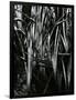 Grass and Water, c. 1970-Brett Weston-Framed Photographic Print