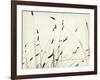 Grass Balance-Amy Melious-Framed Art Print