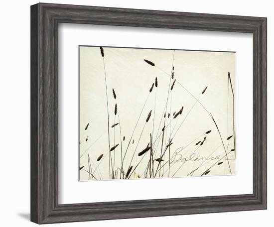 Grass Balance-Amy Melious-Framed Art Print