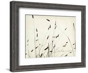 Grass Balance-Amy Melious-Framed Art Print