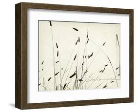 Grass Balance-Amy Melious-Framed Art Print