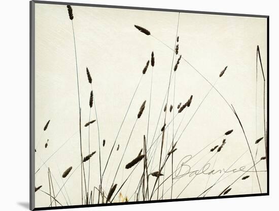 Grass Balance-Amy Melious-Mounted Art Print