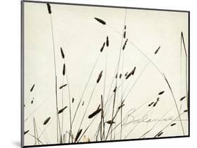 Grass Balance-Amy Melious-Mounted Art Print