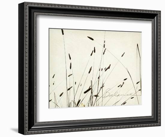 Grass Balance-Amy Melious-Framed Art Print