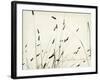 Grass Balance-Amy Melious-Framed Art Print