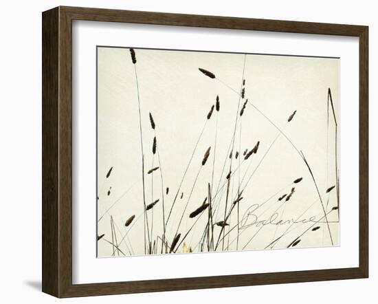 Grass Balance-Amy Melious-Framed Art Print
