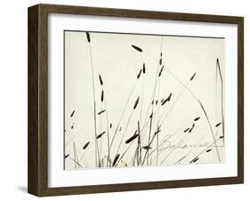 Grass Balance-Amy Melious-Framed Art Print