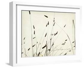 Grass Balance-Amy Melious-Framed Art Print