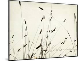Grass Balance-Amy Melious-Mounted Art Print