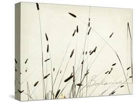 Grass Balance-Amy Melious-Stretched Canvas