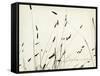 Grass Balance-Amy Melious-Framed Stretched Canvas
