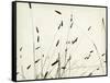 Grass Balance-Amy Melious-Framed Stretched Canvas